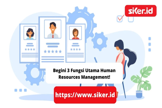 Begini 3 Fungsi Utama Human Resources Management! | Lainya