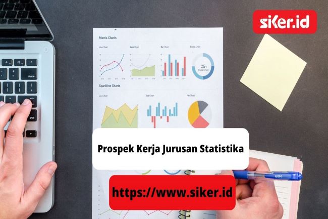 Prospek Kerja Jurusan Statistika | Artikel