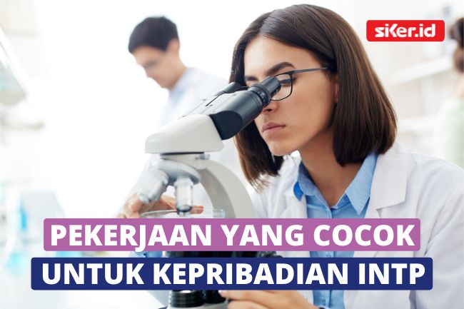 Rekomendasi 5 Pekerjaan Yang Cocok Untuk Kepribadian Intp Lainya