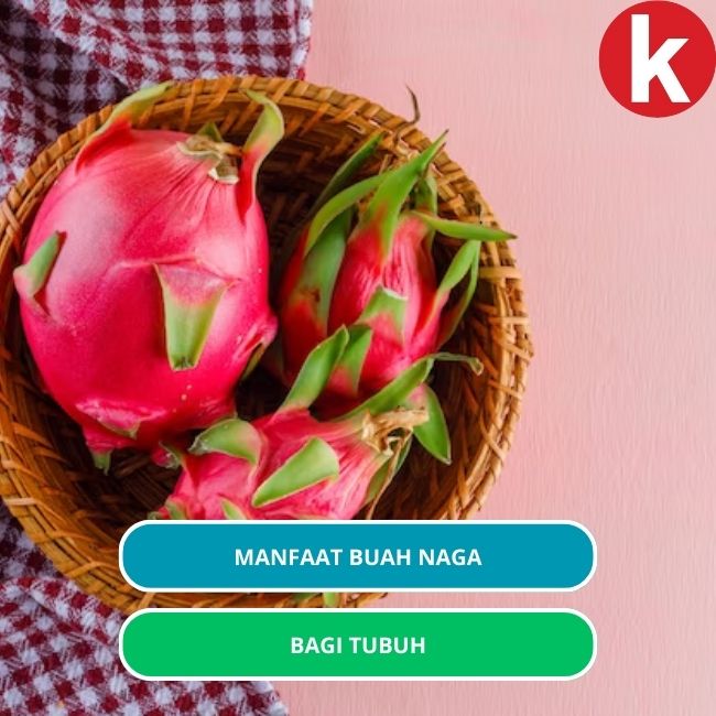 Manfaat Buah Naga Bagi Kesehatan Tubuh Makanan 